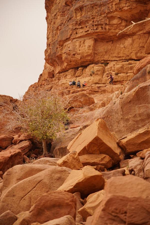Quite Bedouin Life Otel Ram Vadisi Dış mekan fotoğraf