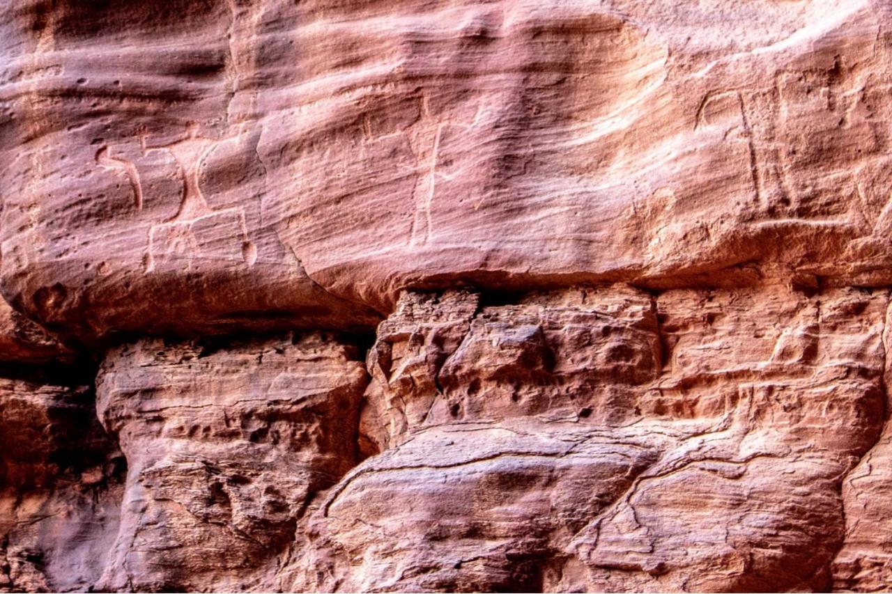 Quite Bedouin Life Otel Ram Vadisi Dış mekan fotoğraf